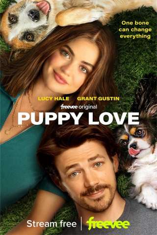 Una famiglia di cuccioli (2023) streaming