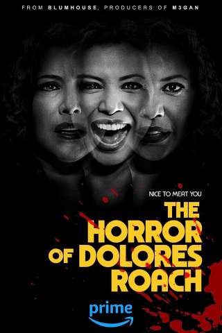 Gli orrori di Dolores Roach (2023 - In Lavorazione) streaming
