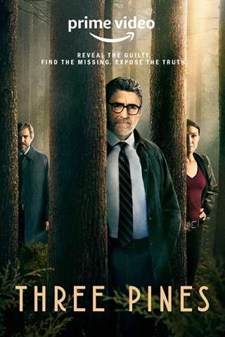 Il Commissario Gamache - Misteri a Three Pines (2022 - In Lavorazione) streaming