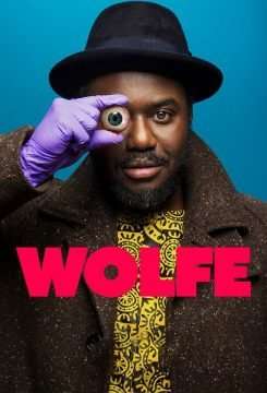 Professor Wolfe (2021 - In Lavorazione) streaming