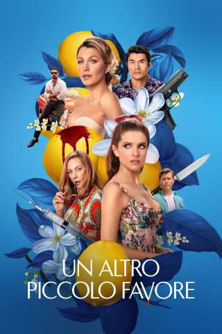 Un altro piccolo favore (2025) streaming